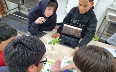 Horario de Salida Diciembre